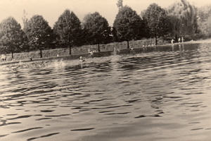 Senftenberg
